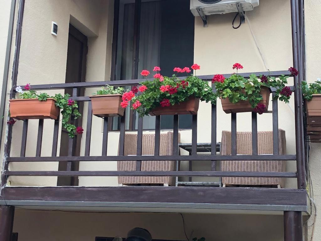 Tinikos Guest House Telavi Luaran gambar