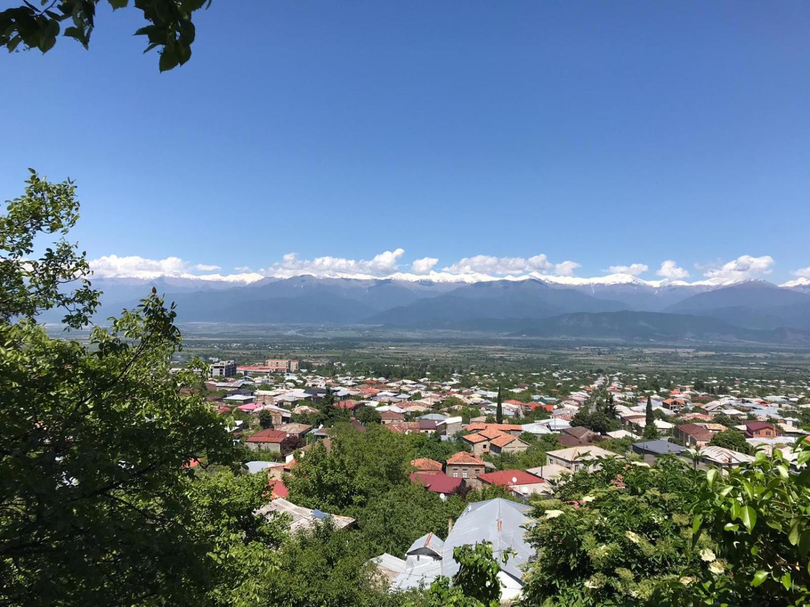Tinikos Guest House Telavi Luaran gambar