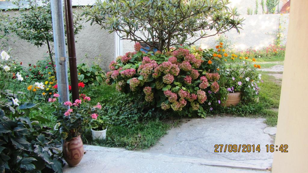 Tinikos Guest House Telavi Luaran gambar