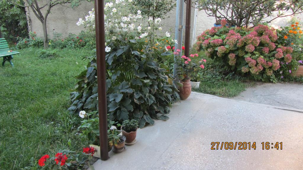 Tinikos Guest House Telavi Luaran gambar