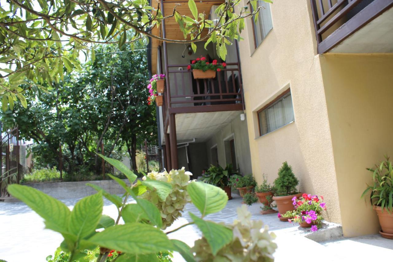 Tinikos Guest House Telavi Luaran gambar